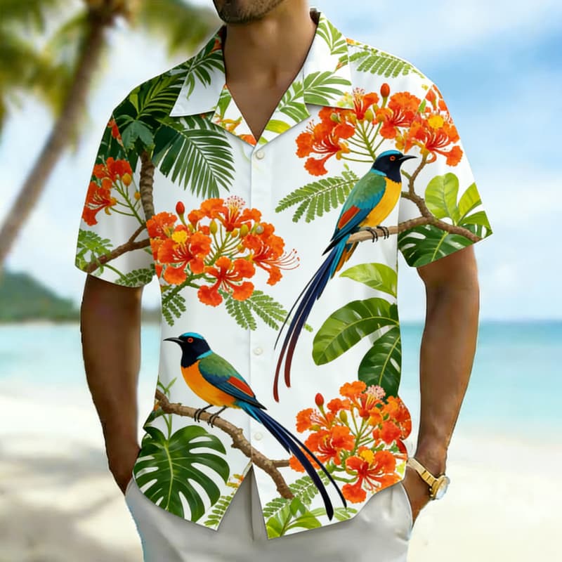 Chemise boutonnée pour homme,  - Outdoor Adventure Vacations avis et prix